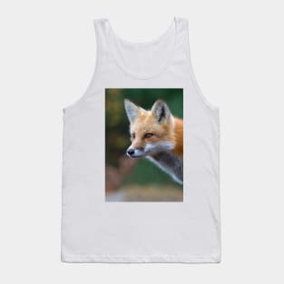 Red Fox - Algonquin Park, Canada Tank Top